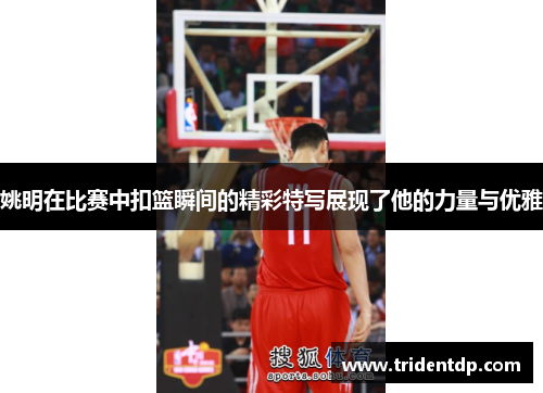 姚明在比赛中扣篮瞬间的精彩特写展现了他的力量与优雅