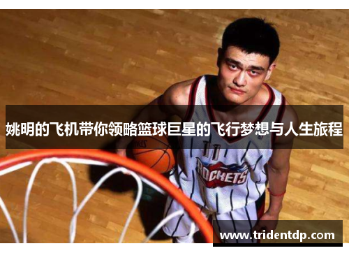 姚明的飞机带你领略篮球巨星的飞行梦想与人生旅程