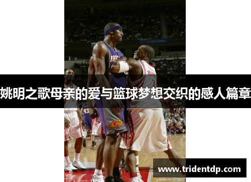 姚明之歌母亲的爱与篮球梦想交织的感人篇章