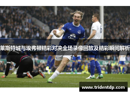 莱斯特城与埃弗顿精彩对决全场录像回放及精彩瞬间解析
